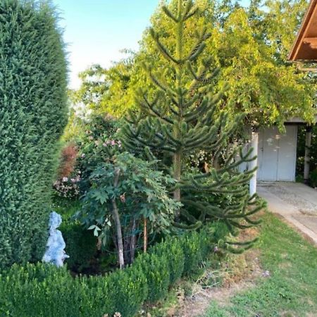 Apartma Jozica In Toncek Sveti Jurij ob Scavnici المظهر الخارجي الصورة