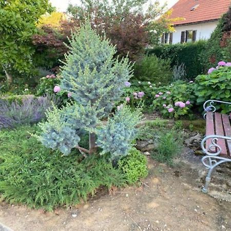 Apartma Jozica In Toncek Sveti Jurij ob Scavnici المظهر الخارجي الصورة