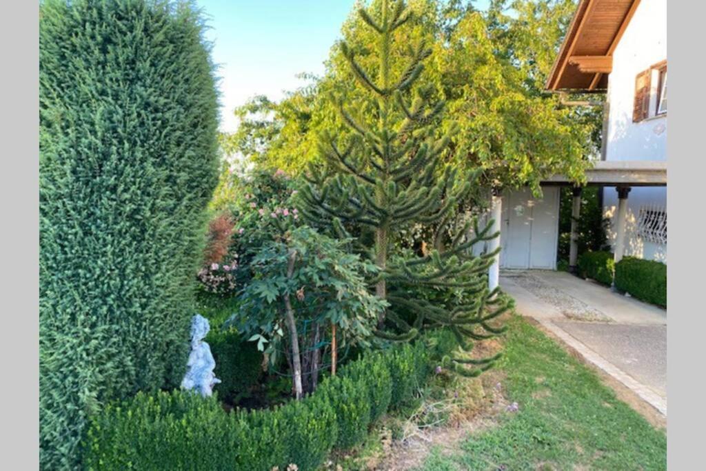 Apartma Jozica In Toncek Sveti Jurij ob Scavnici المظهر الخارجي الصورة
