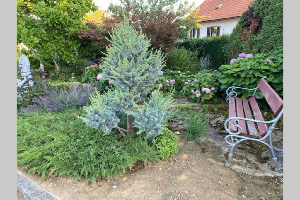Apartma Jozica In Toncek Sveti Jurij ob Scavnici المظهر الخارجي الصورة